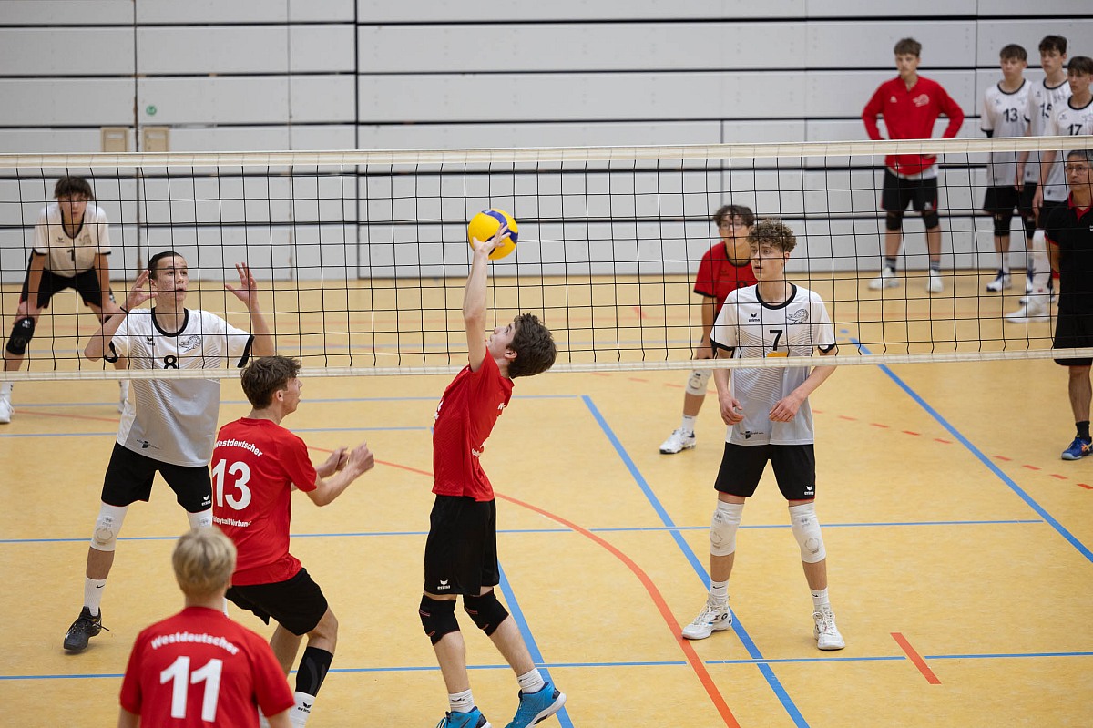 VMV-Bildergalerie: 