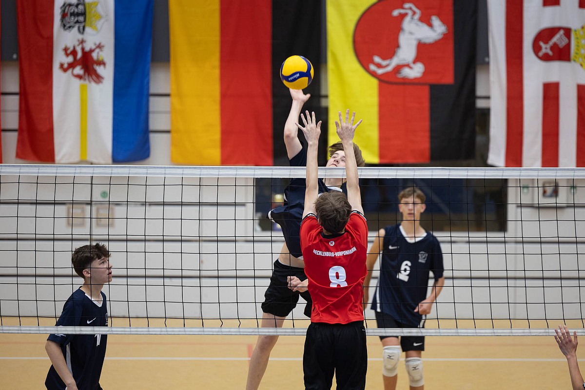 VMV-Bildergalerie: 