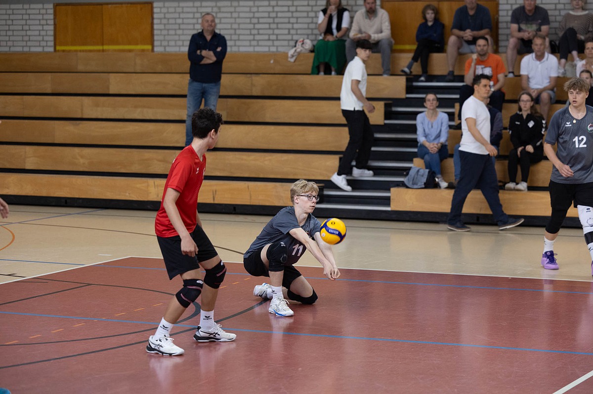 VMV-Bildergalerie: 
