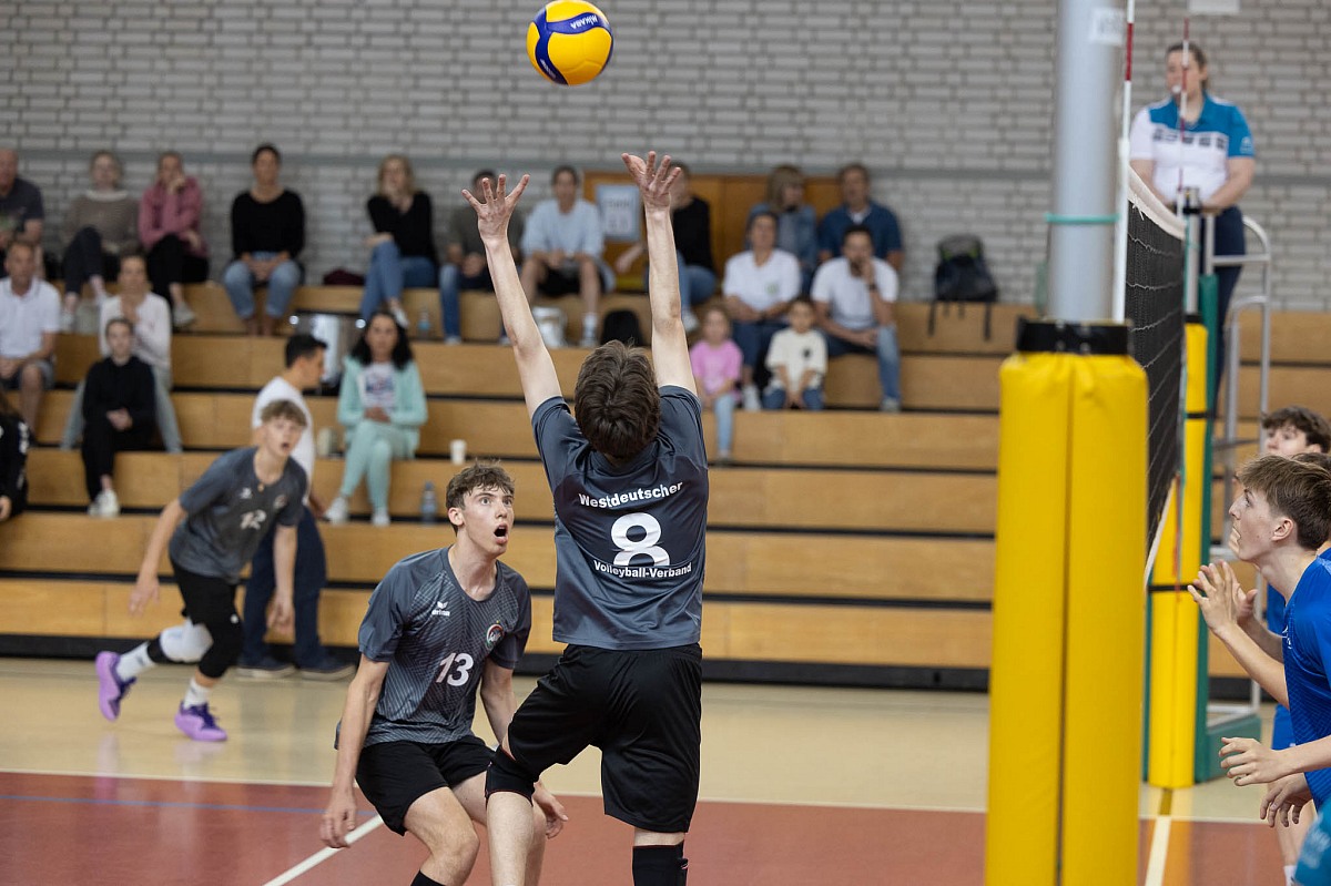 VMV-Bildergalerie: 