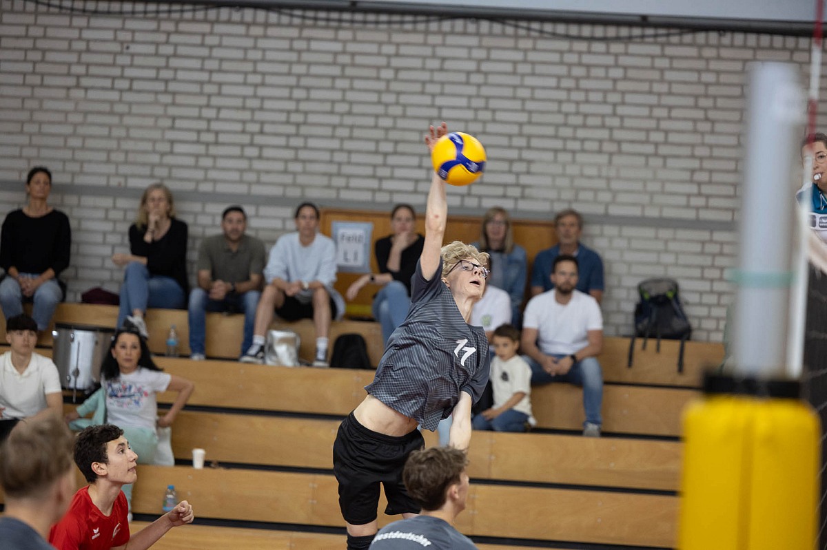 VMV-Bildergalerie: 