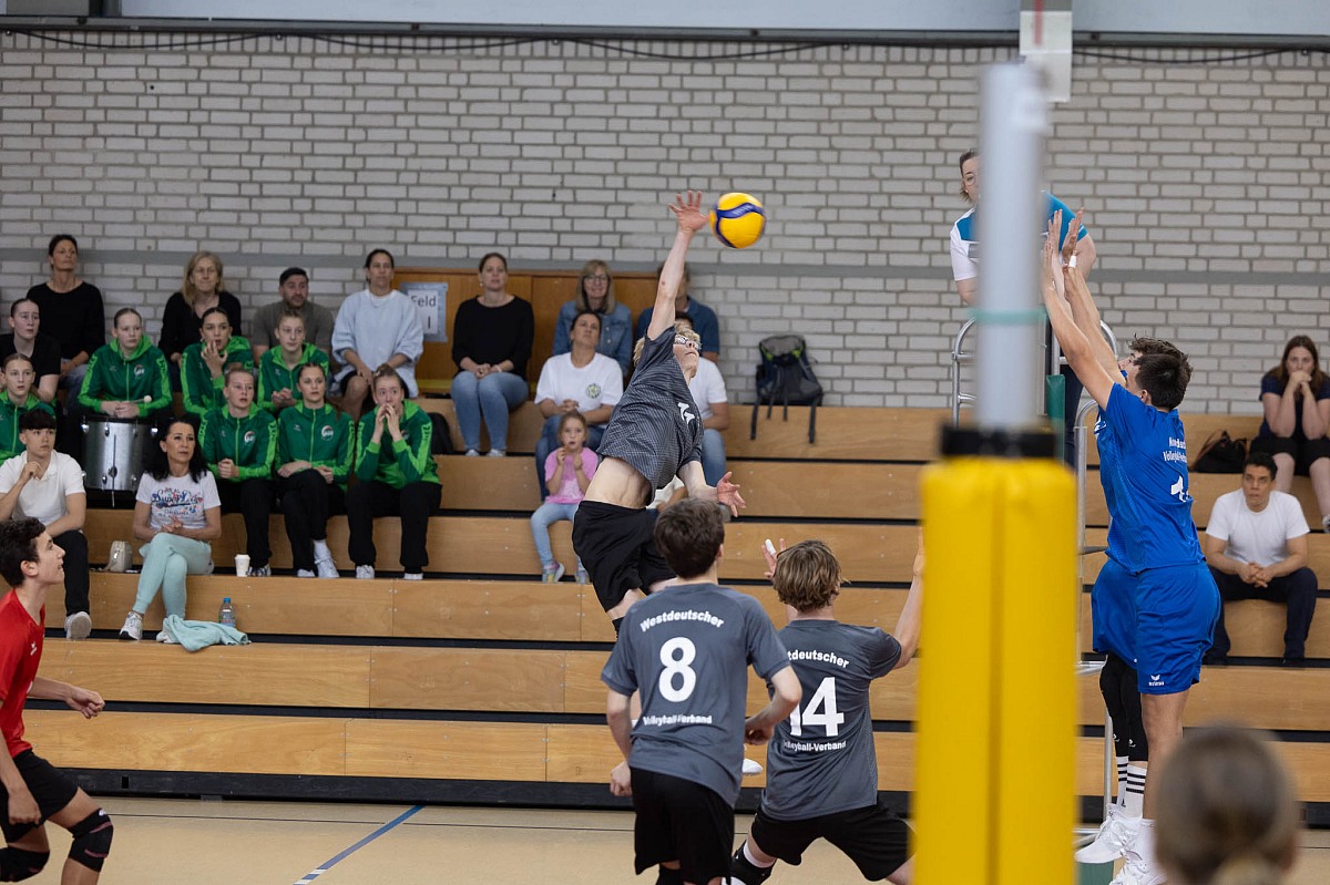 VMV-Bildergalerie: 