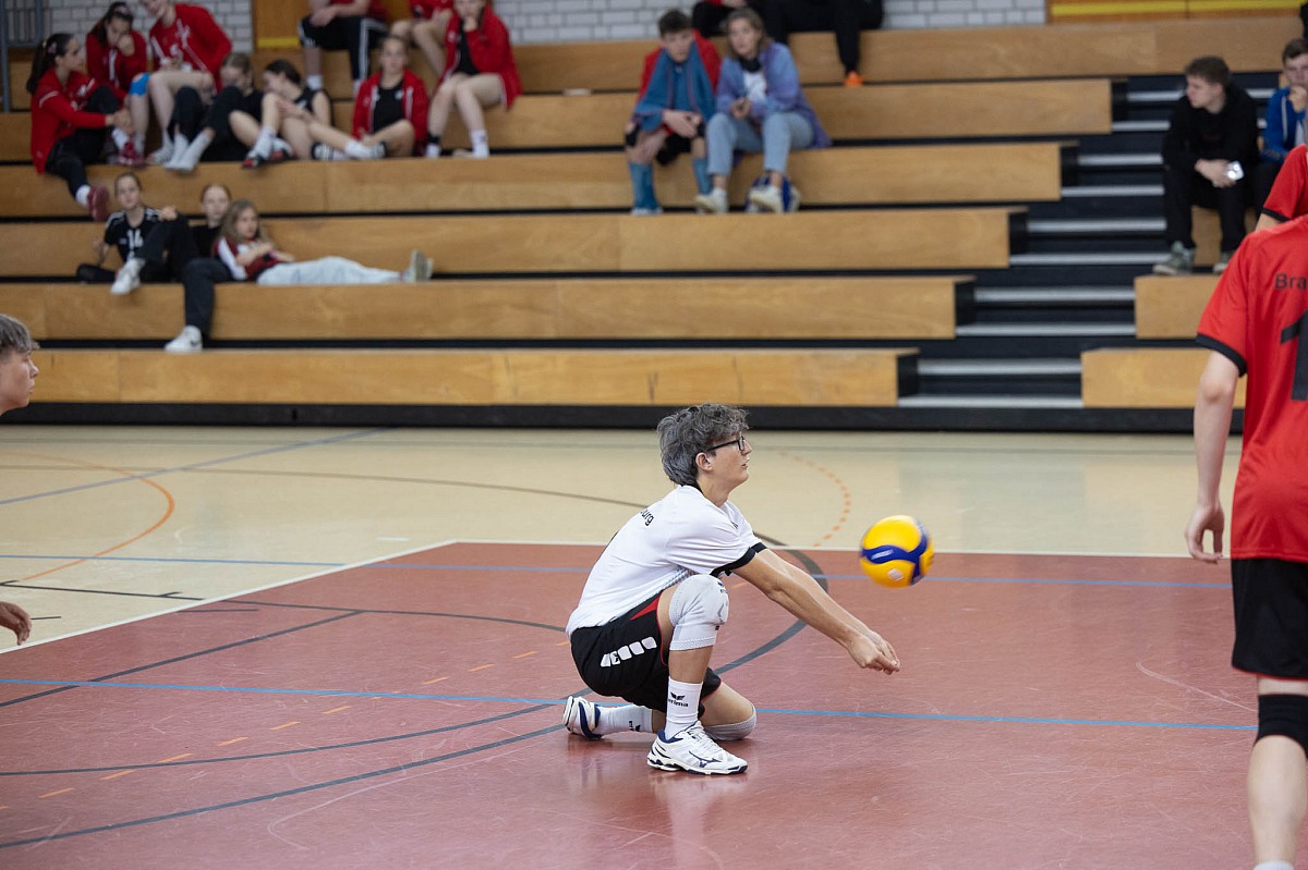 VMV-Bildergalerie: 