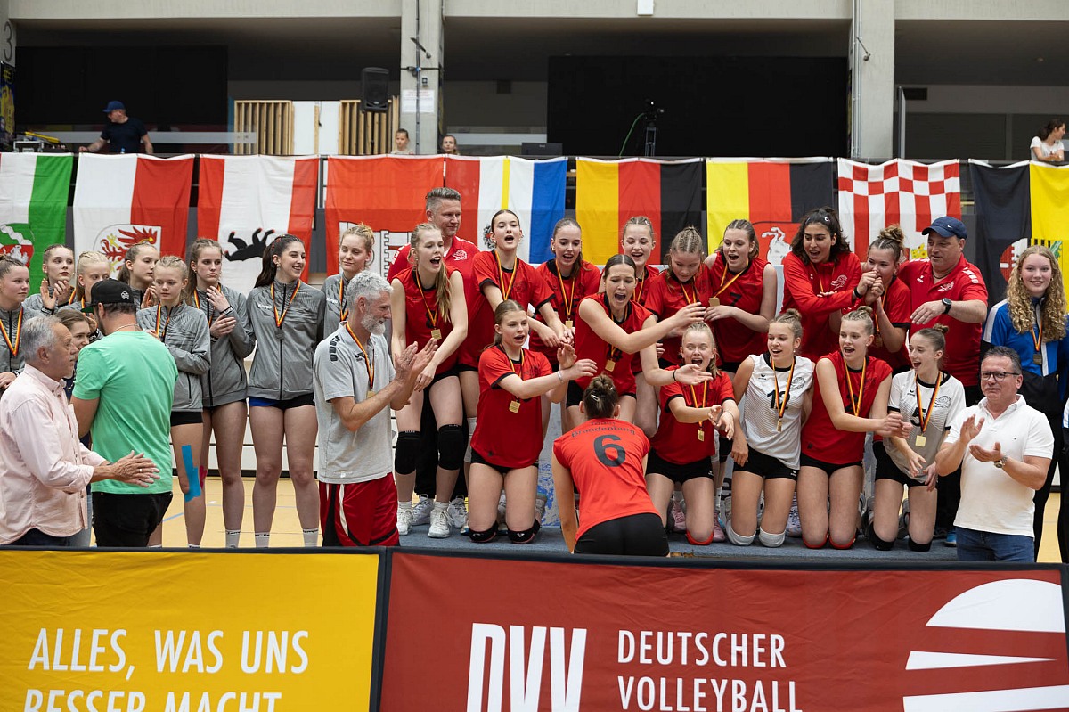 VMV-Bildergalerie: 