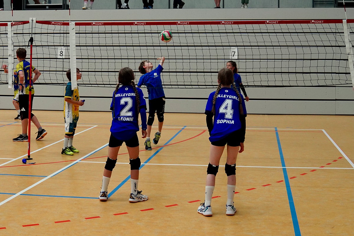 VMV-Bildergalerie: 