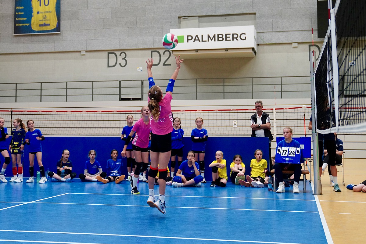 VMV-Bildergalerie: 