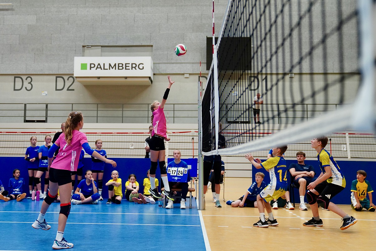 VMV-Bildergalerie: 