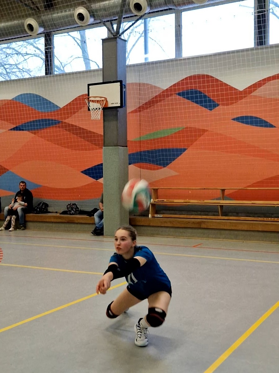 VMV-Bildergalerie: 