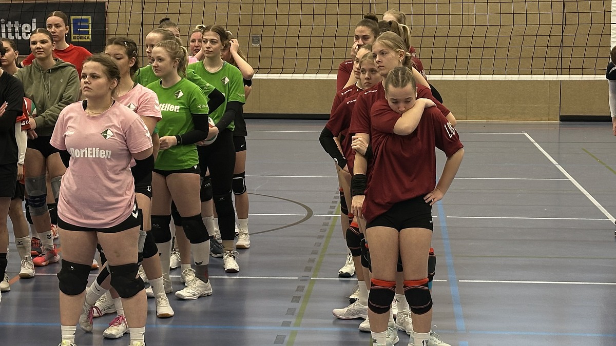 VMV-Bildergalerie: 