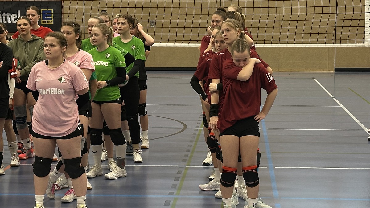 VMV-Bildergalerie: 