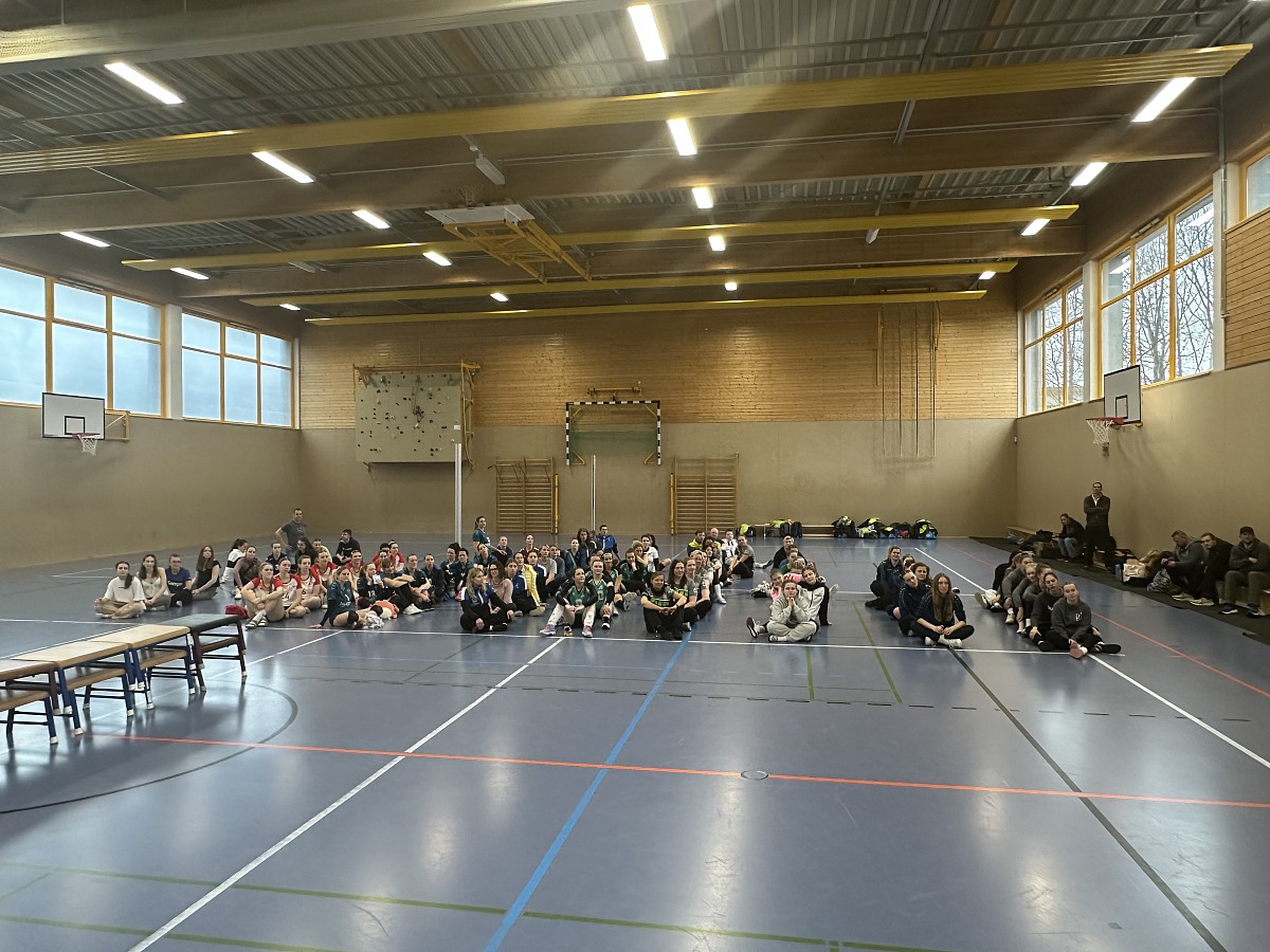 VMV-Bildergalerie: 