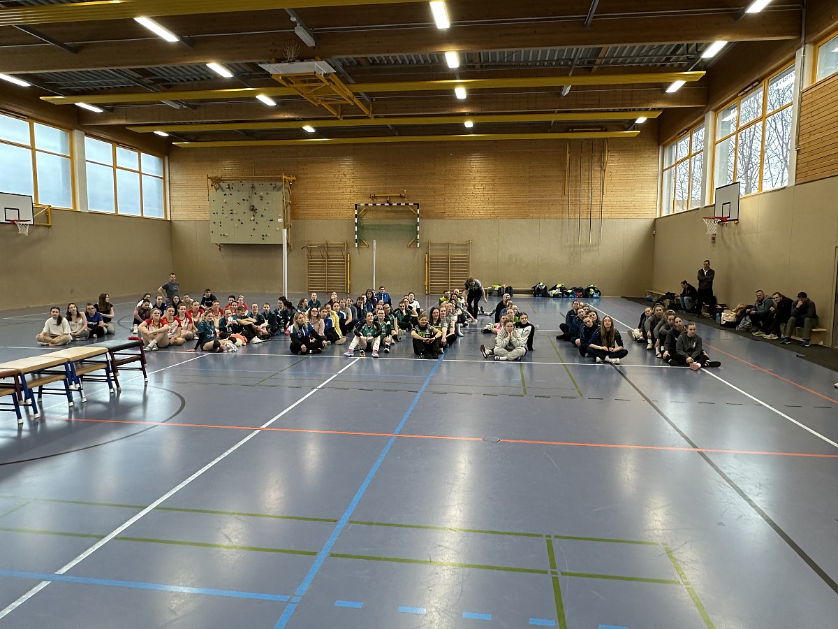VMV-Bildergalerie: 