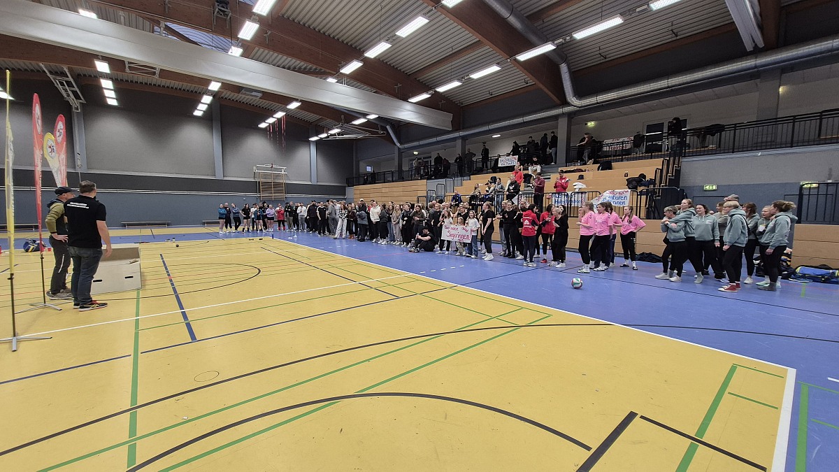 VMV-Bildergalerie: 