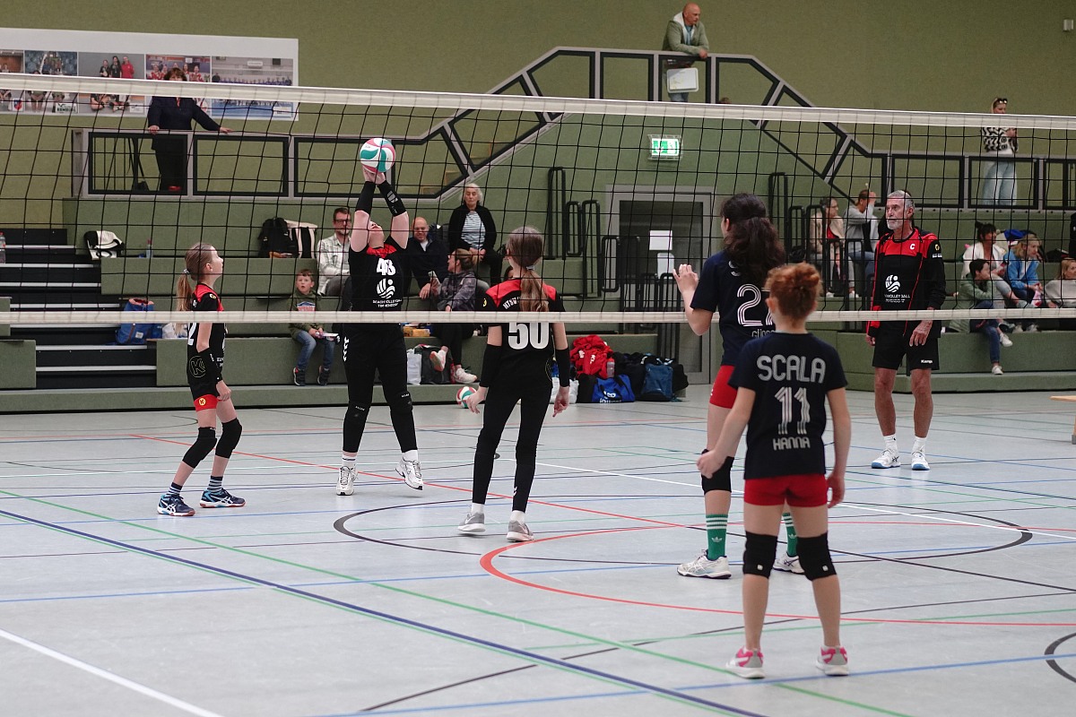 VMV-Bildergalerie: 