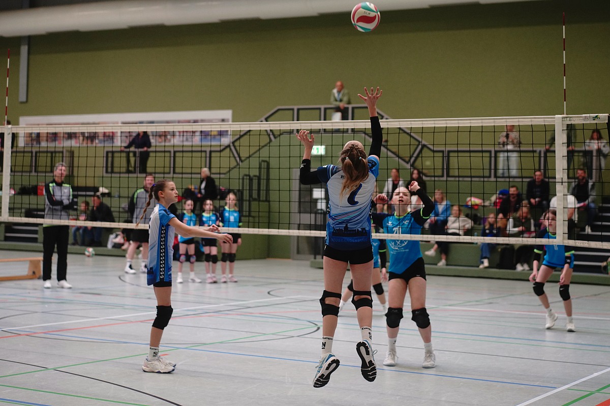 VMV-Bildergalerie: 