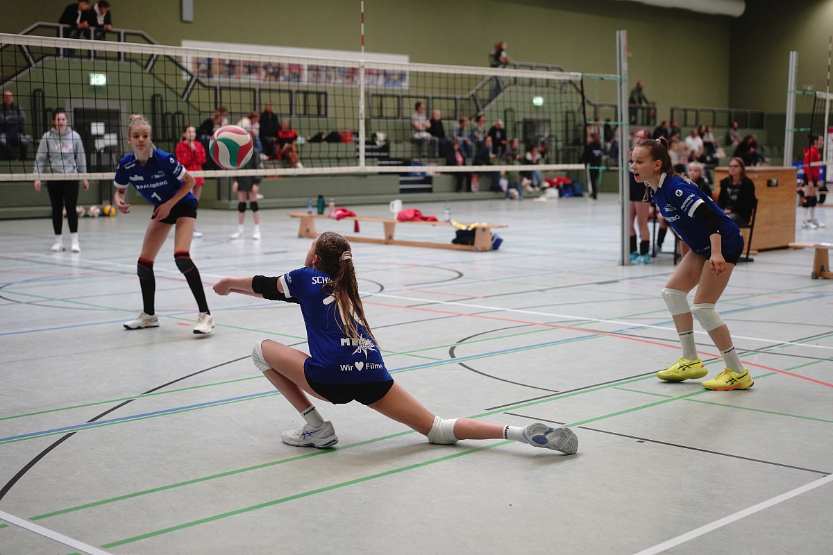VMV-Bildergalerie: 