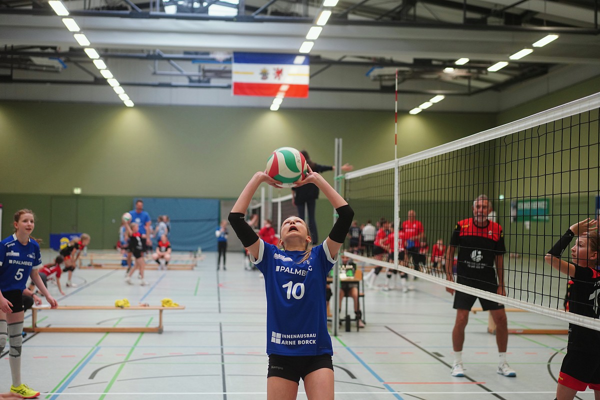VMV-Bildergalerie: 