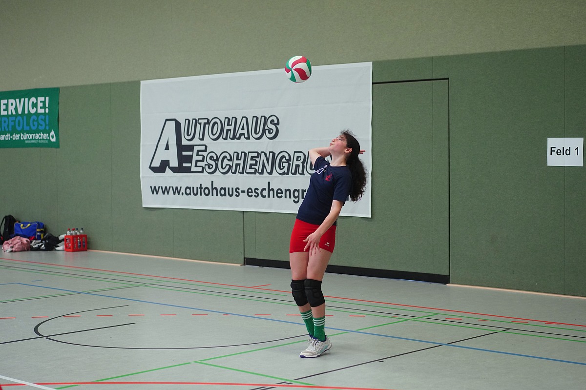 VMV-Bildergalerie: 