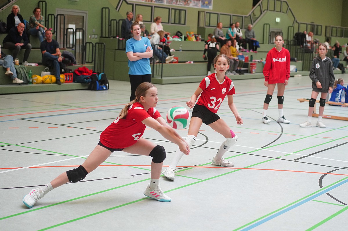 VMV-Bildergalerie: 