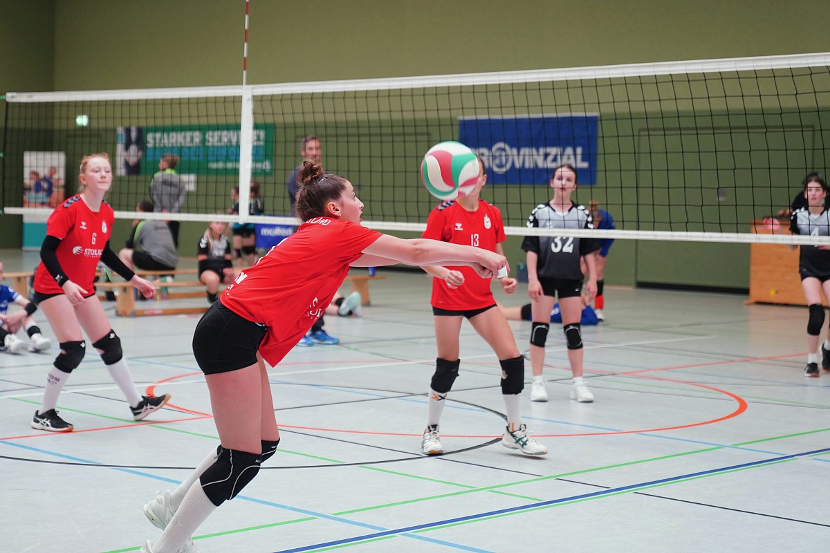 VMV-Bildergalerie: 