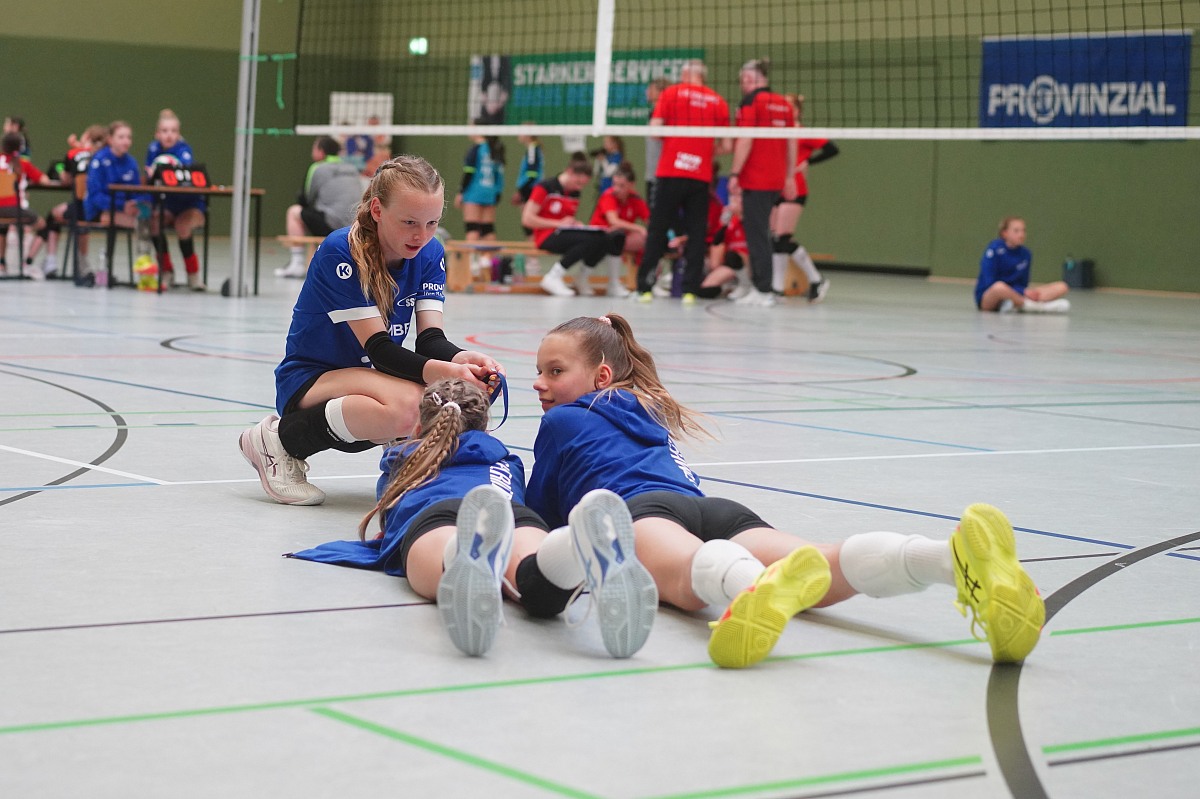 VMV-Bildergalerie: 