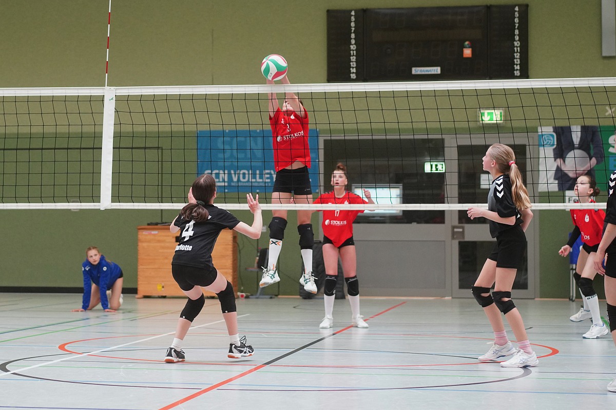 VMV-Bildergalerie: 