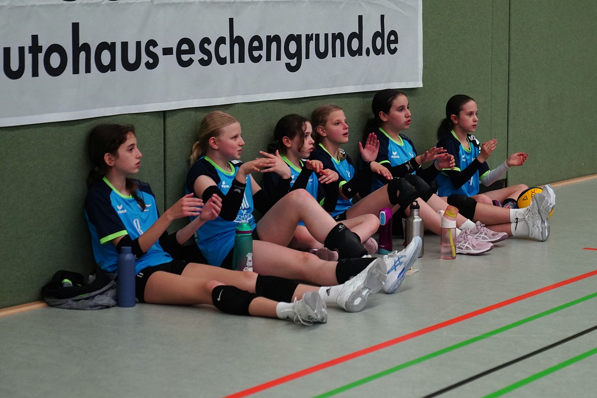 VMV-Bildergalerie: 