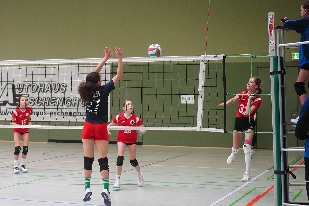 VMV-Bildergalerie: 