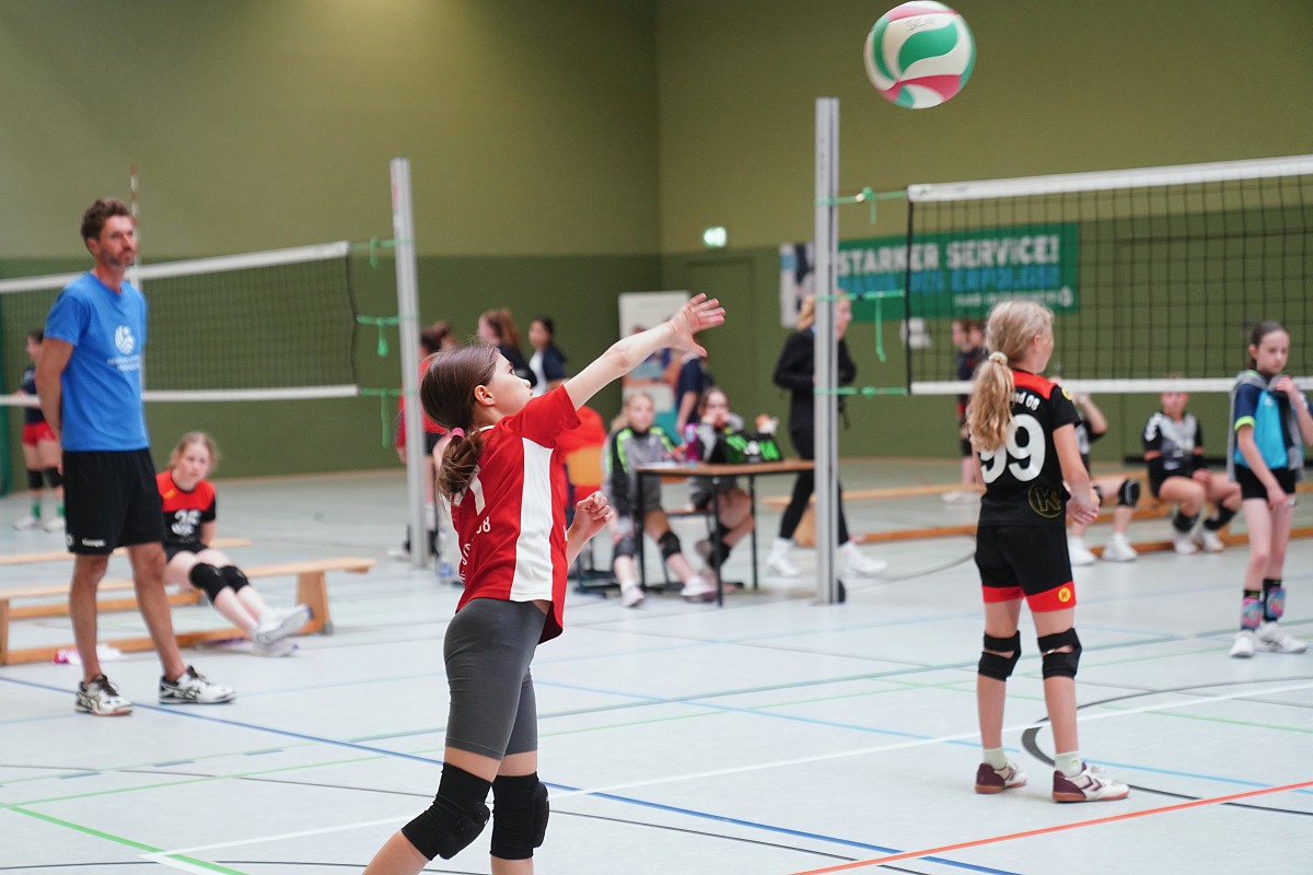 VMV-Bildergalerie: 