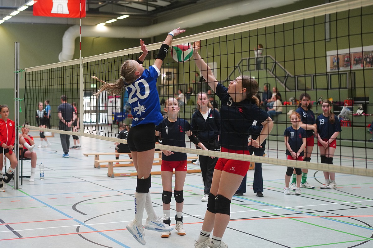 VMV-Bildergalerie: 