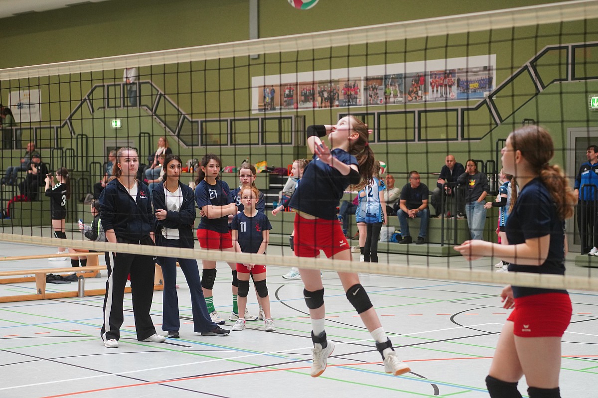VMV-Bildergalerie: 