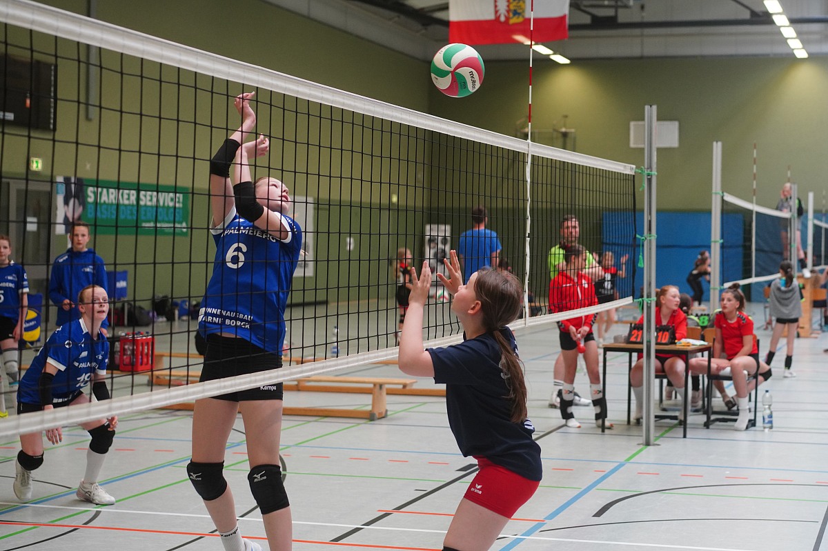 VMV-Bildergalerie: 