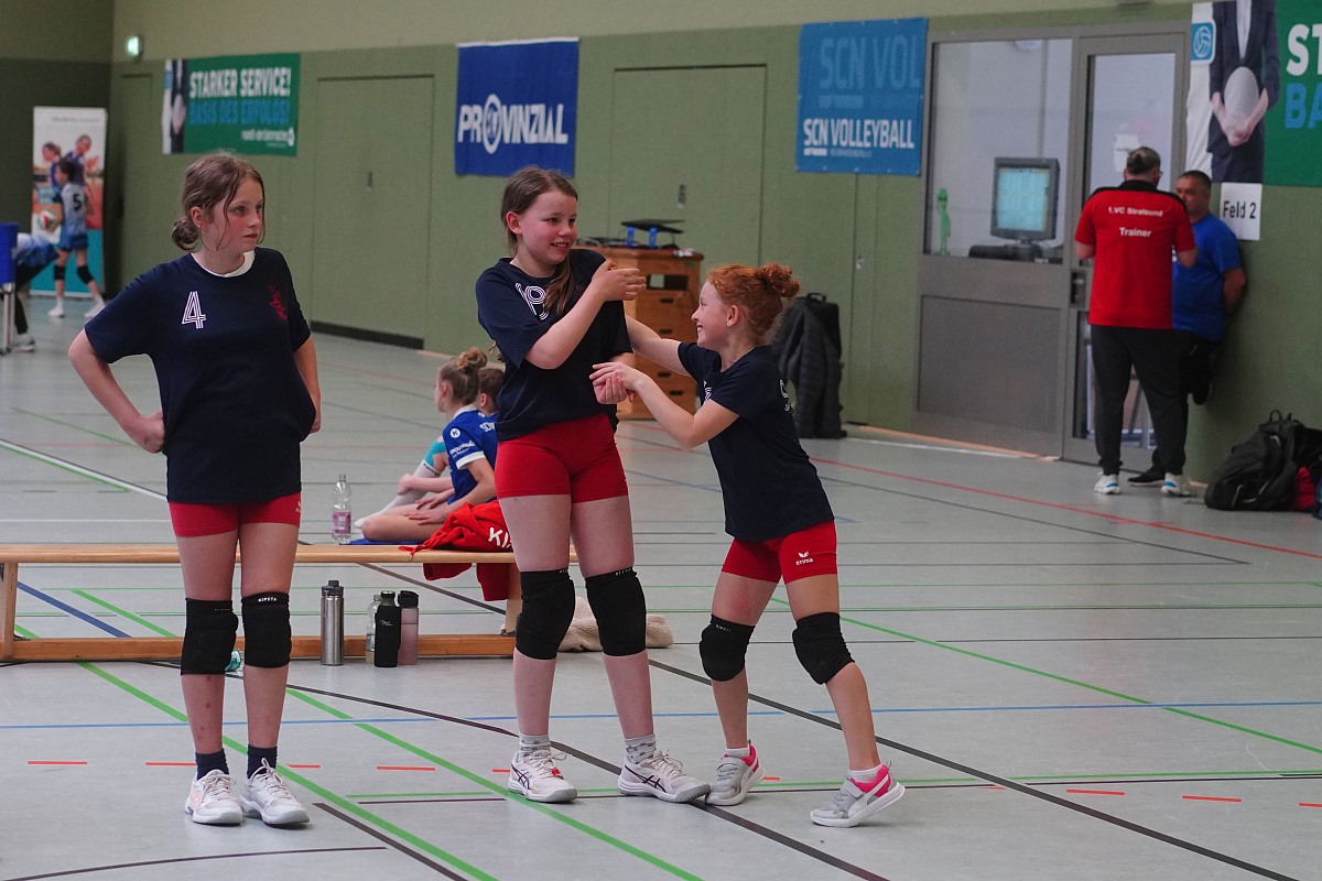 VMV-Bildergalerie: 