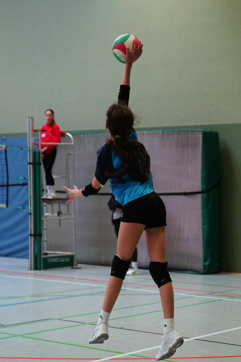 VMV-Bildergalerie: 