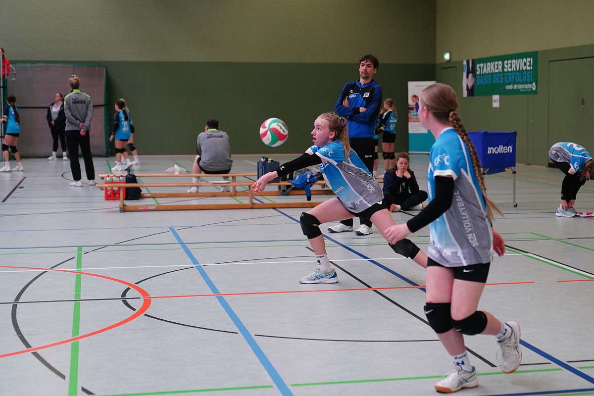 VMV-Bildergalerie: 