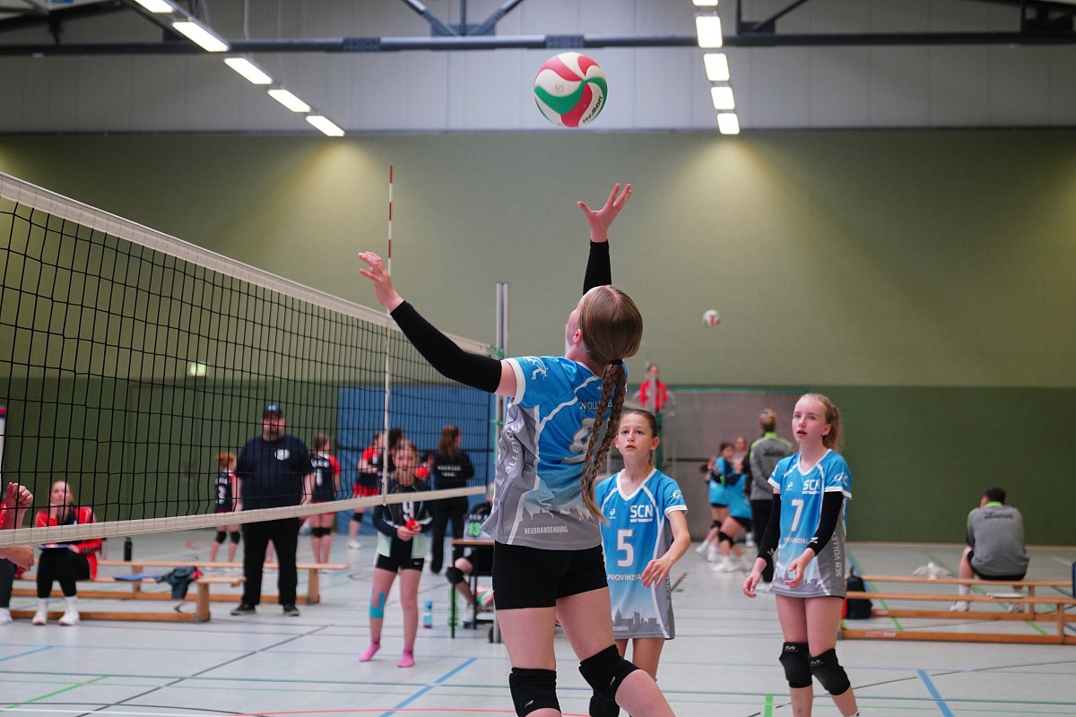 VMV-Bildergalerie: 