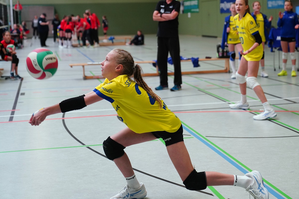 VMV-Bildergalerie: 