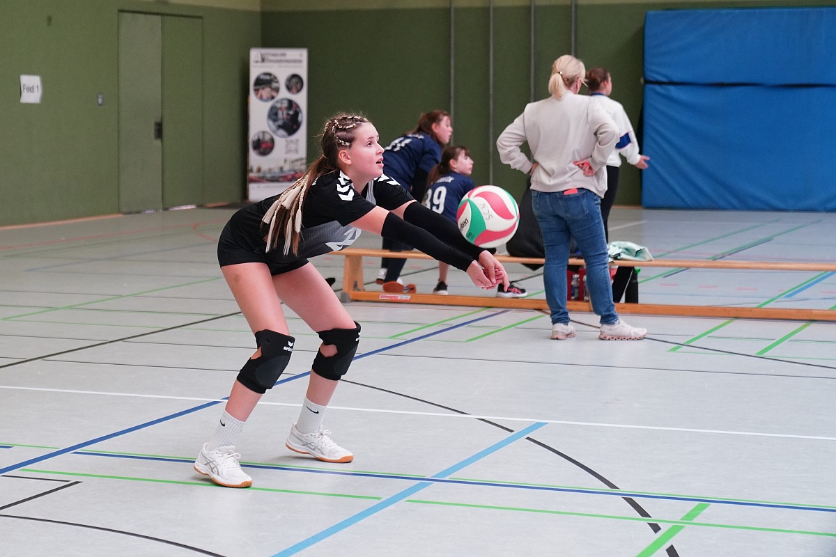 VMV-Bildergalerie: 