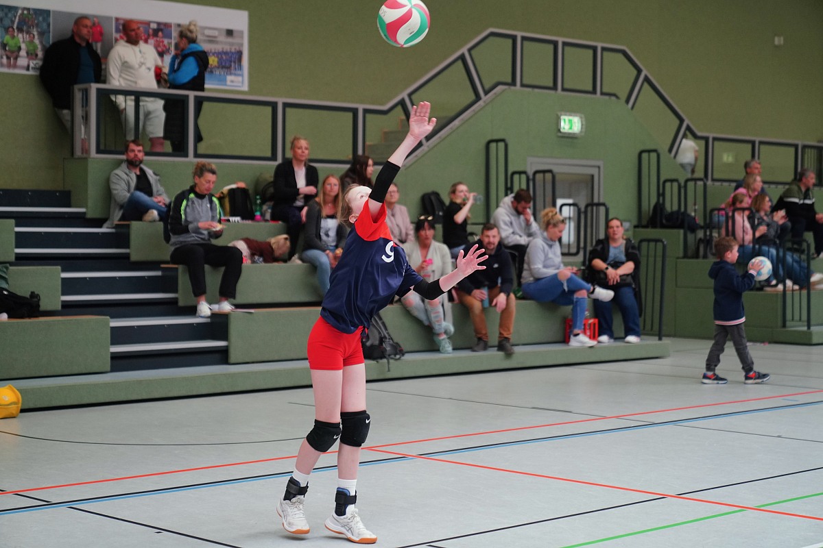 VMV-Bildergalerie: 