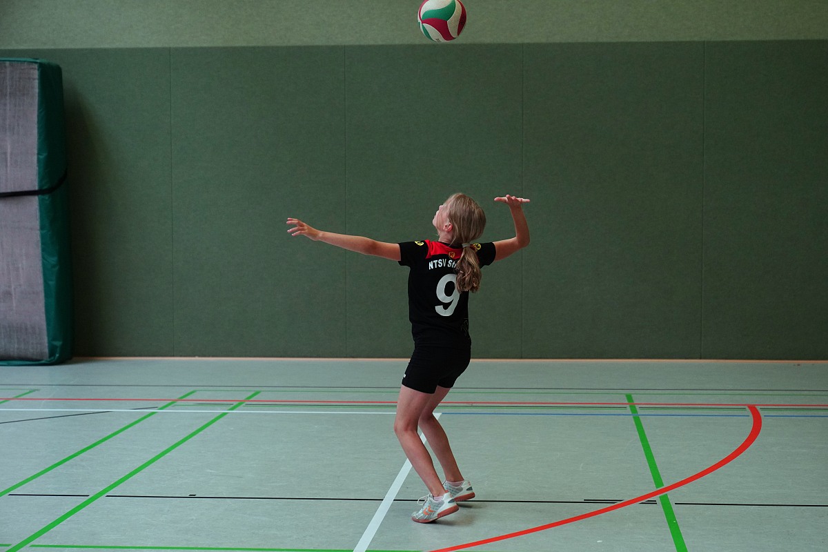 VMV-Bildergalerie: 