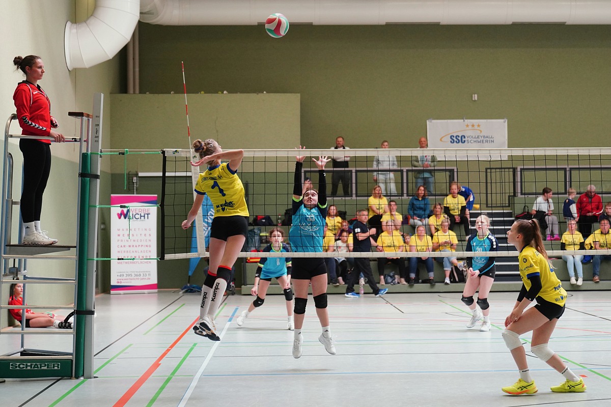 VMV-Bildergalerie: 