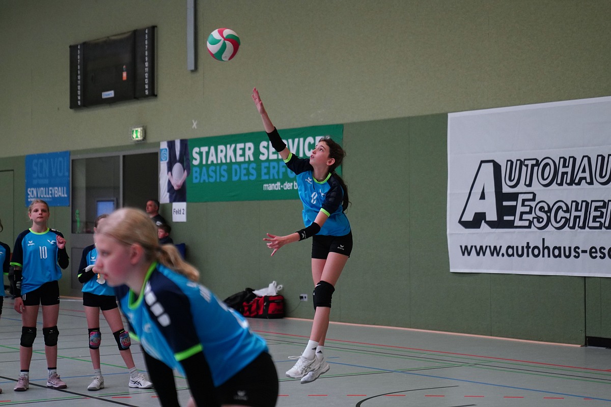 VMV-Bildergalerie: 