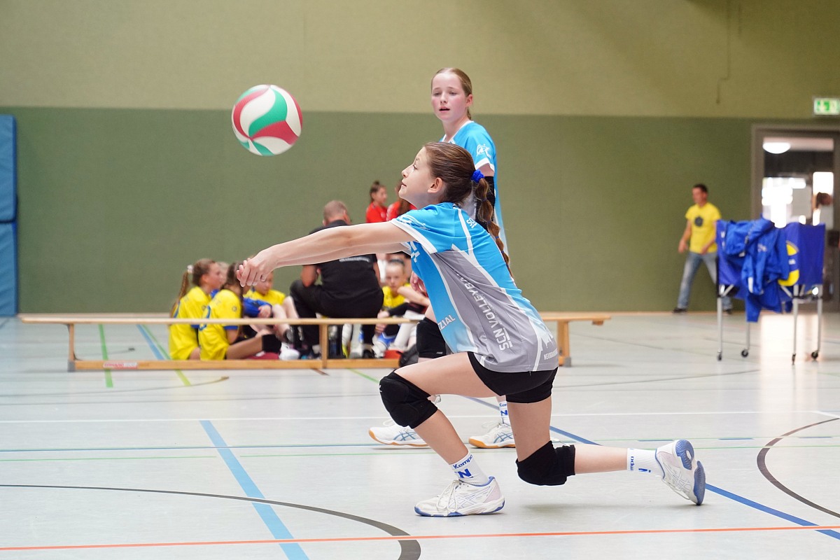 VMV-Bildergalerie: 