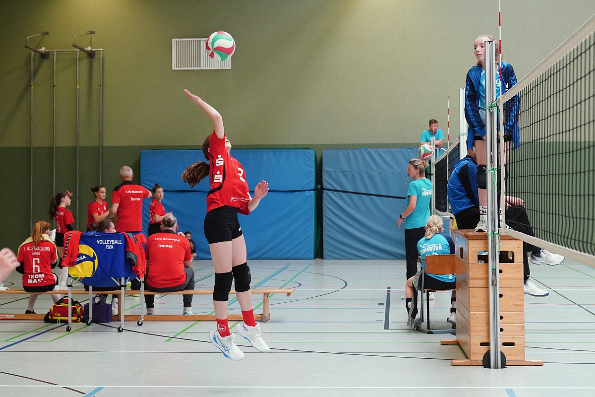 VMV-Bildergalerie: 