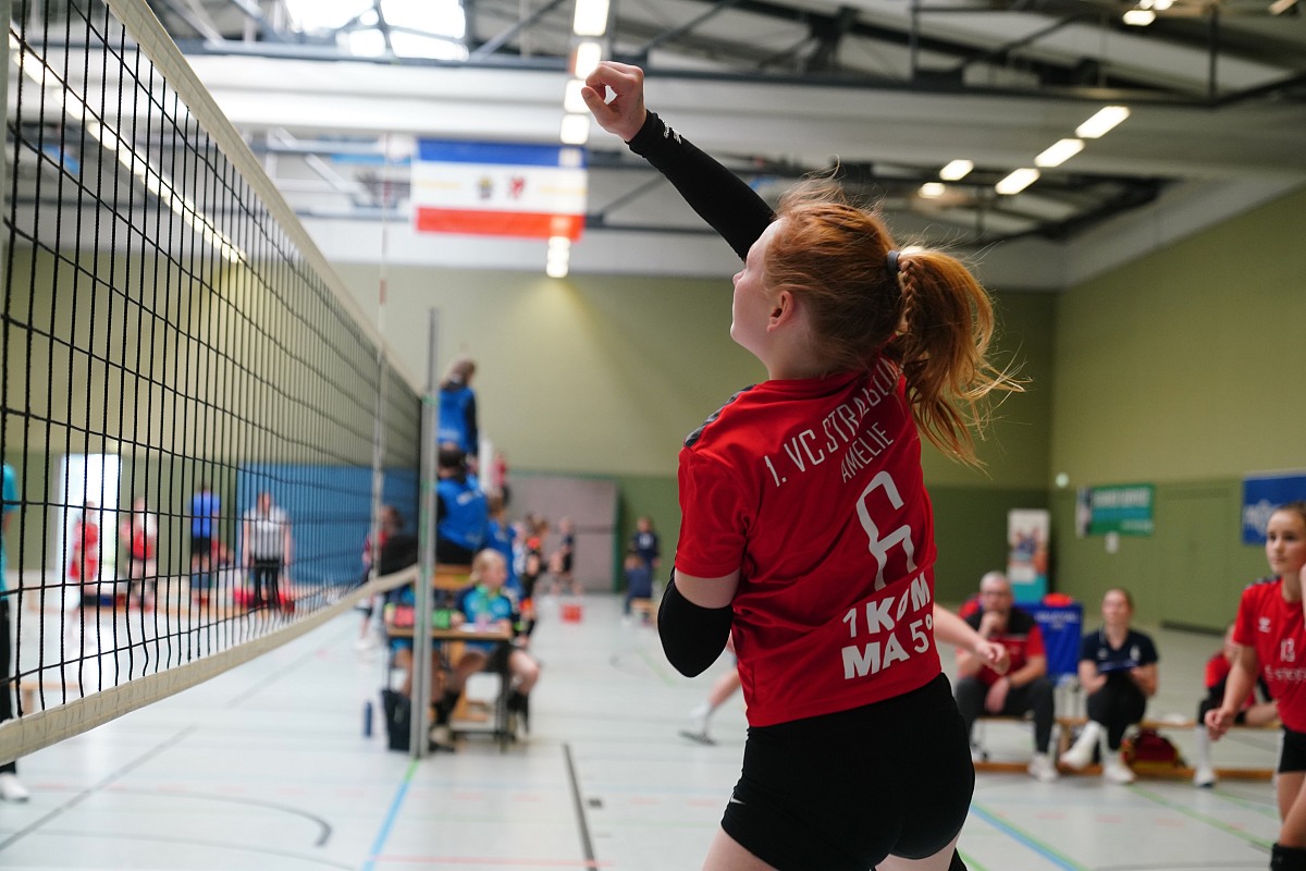 VMV-Bildergalerie: 