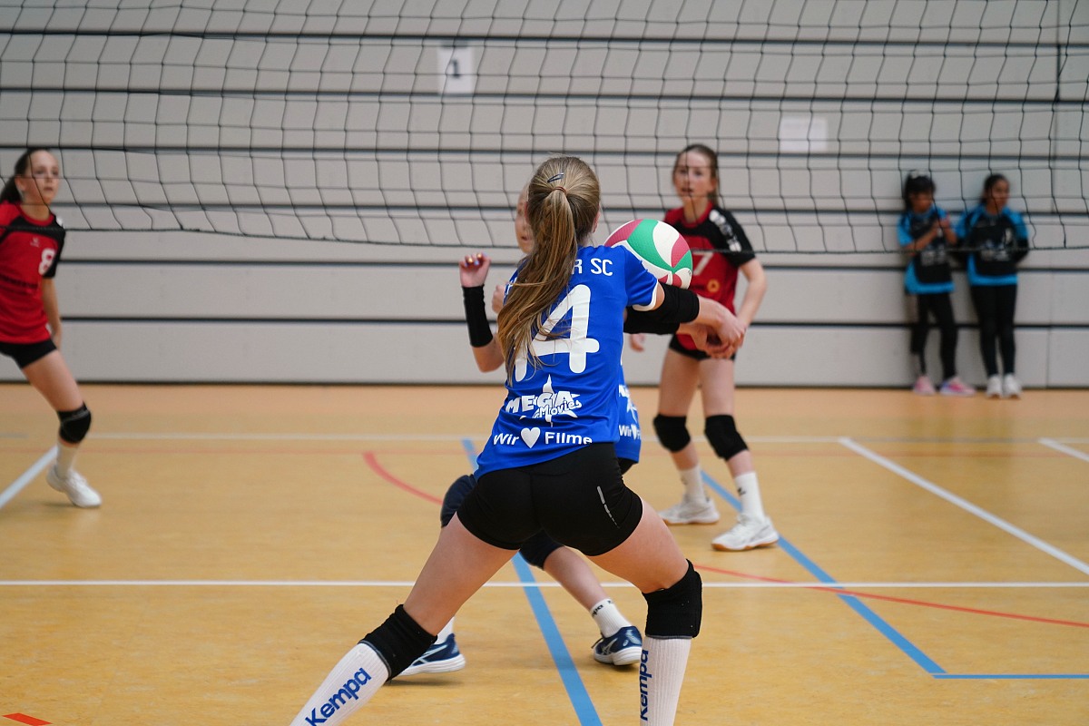 VMV-Bildergalerie: 