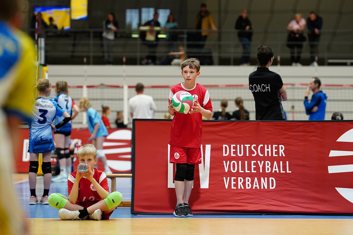 VMV-Bildergalerie: 