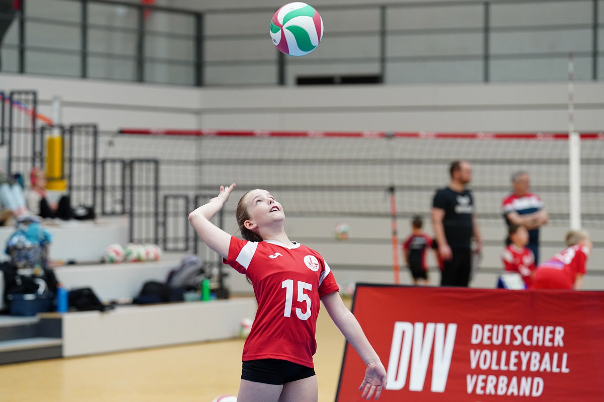VMV-Bildergalerie: 