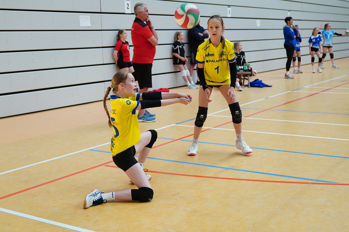 VMV-Bildergalerie: 