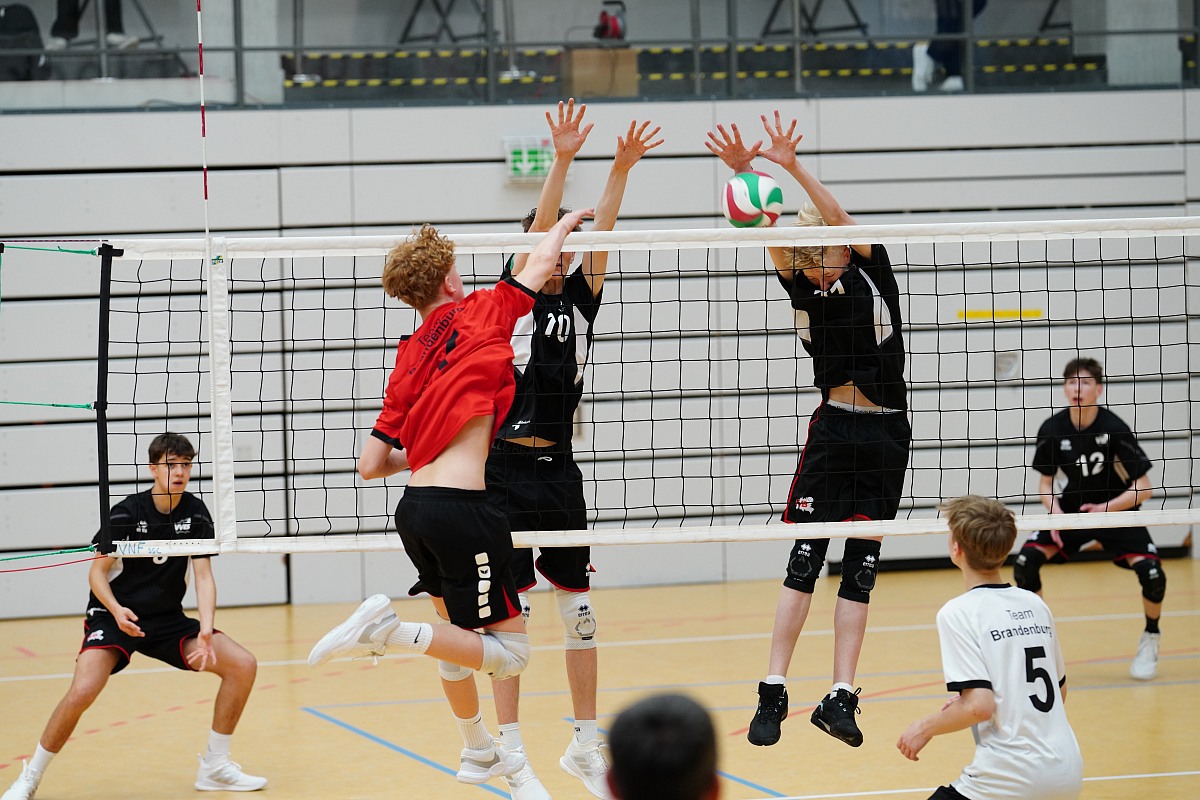 VMV-Bildergalerie: 